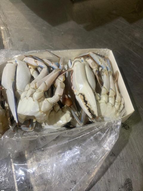 Frozen Blue Crab – Half Cut Packaging 12 Kg / Box Number Of Packages 167, 500, 667 Size 150/250g, 250/300g, 300g+, 50/100g - Image 3