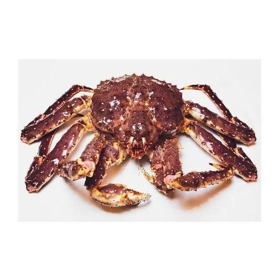 Best Price Jumbo Red King Crab Legs | Frozen Fresh King Crabs Available - Image 3
