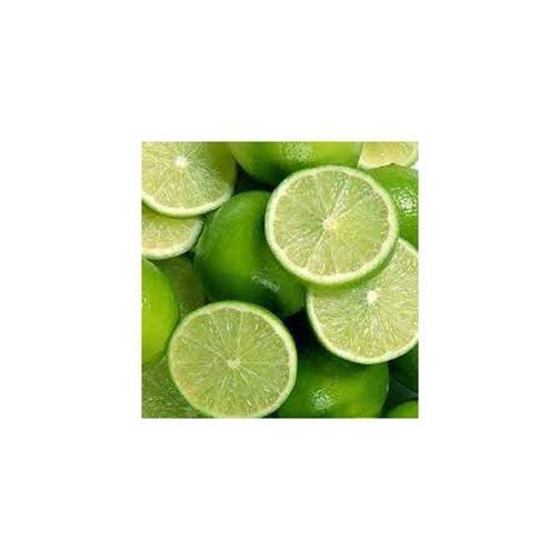 Premium quality fresh seedless lime supplied at factory price for wholesale buyers - Image 4