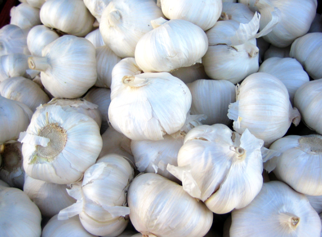 Fresh Garlic - Image 4