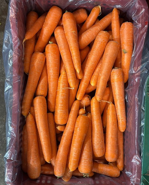 Naturally Crisp, Vibrantly Fresh Carrots 10kg Packs Premium Jack Rabbit Orange Carrot For Sale - Image 3