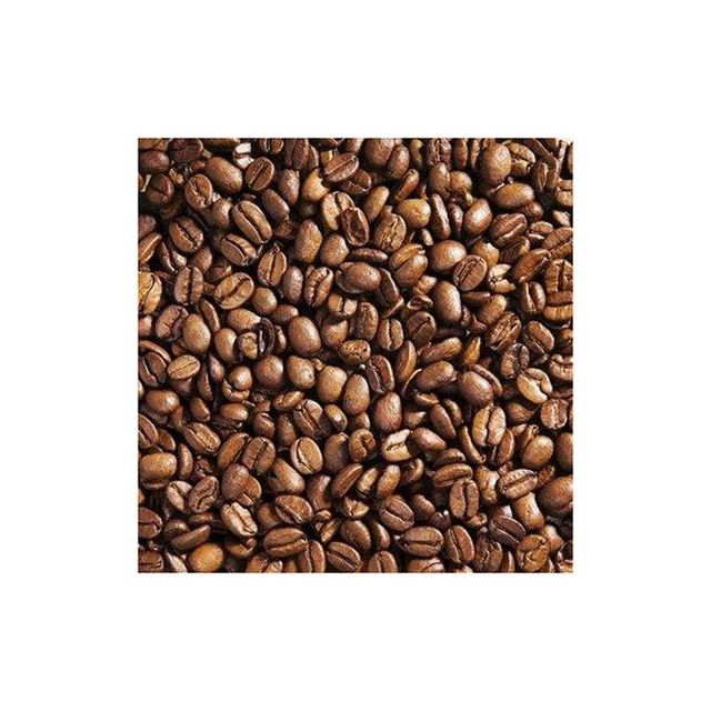 High quality robusta coffee beans prepared for wholesale buyers needing steady volume - Image 1