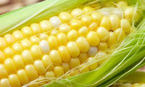 Sweet corn - Image 2