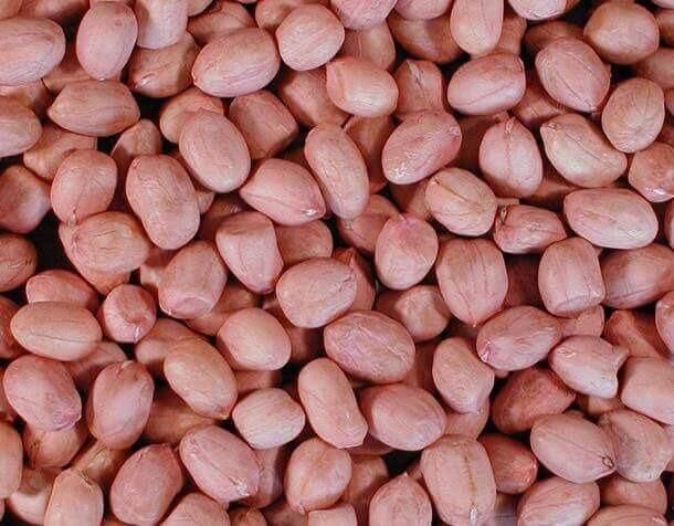 Peanut Kernels Bulk Supply With Competitive Wholesale Price For Global Buyers - Image 4