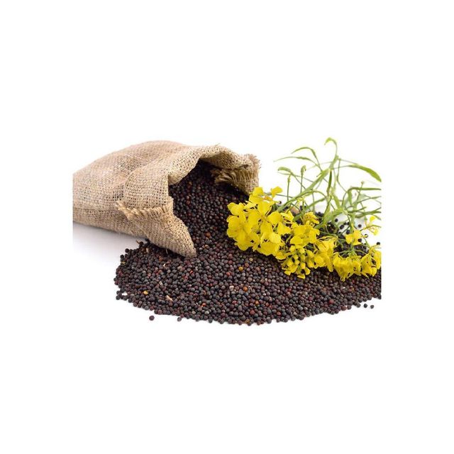 Rapeseed offered at discount price for bulk oil extraction and feed use - Image 1