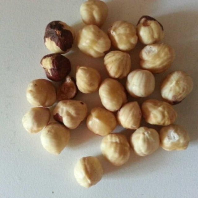 Brown Hazelnuts Export Stock Fresh Harvest Hazelnuts For Global Wholesale Buyers Safe Packing Method - Image 4