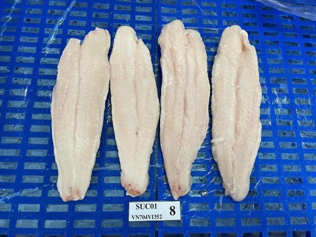 Frozen Pangasius Fillet Form Fillets Shelf Life 24 months Delivery Form Container Place of Origin Dong Thap, Vietnam Net Weight Percentage 100%%, 90%%, 80%% - Image 3