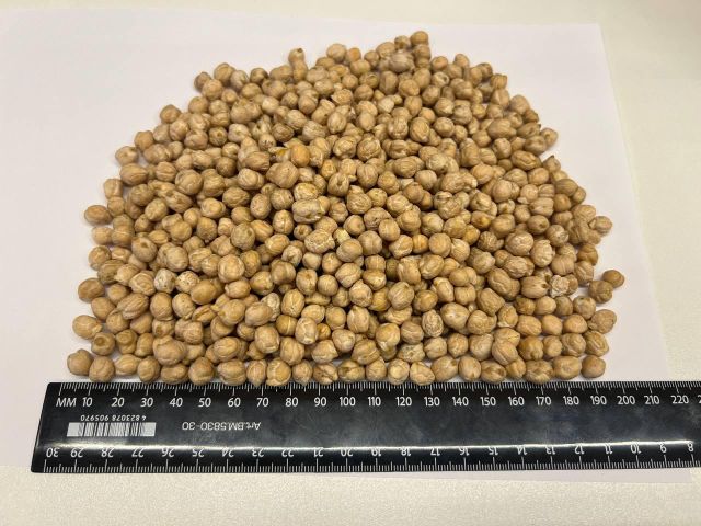 Chickpeas Product Type Legumes Origin European Continent - Image 2