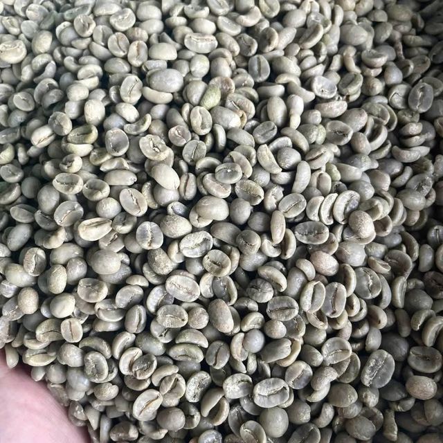 Arabica Green coffee Beans -Specialty Grade 1,Defect ,5/500g,International supplier - Image 5