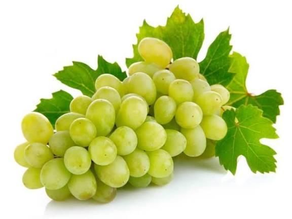 Grapes Color Varied Quality 100% Texture Fresh Flavor Natural Packaging Tray Handling Method Handpicked And Carefully Handled - Image 3