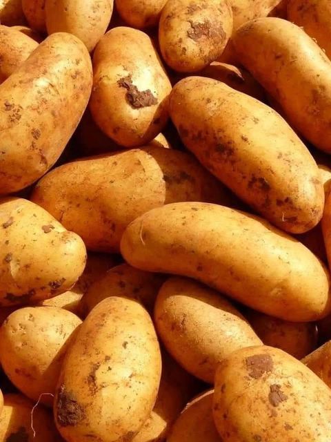 Farm fresh Potato, Okra, onion, Garlic, Moringa, all healthy reliable airfreight supply - Image 5