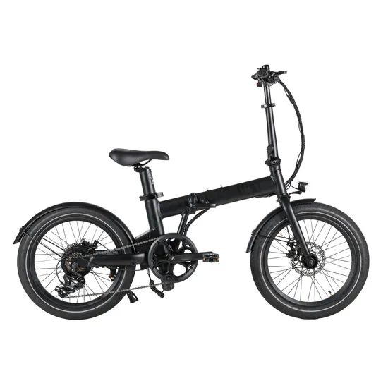 Hidden Battery 20" Electric City Bike 250W 36V Ebike Rear Drive Folding Electric Bicycle - Image 6