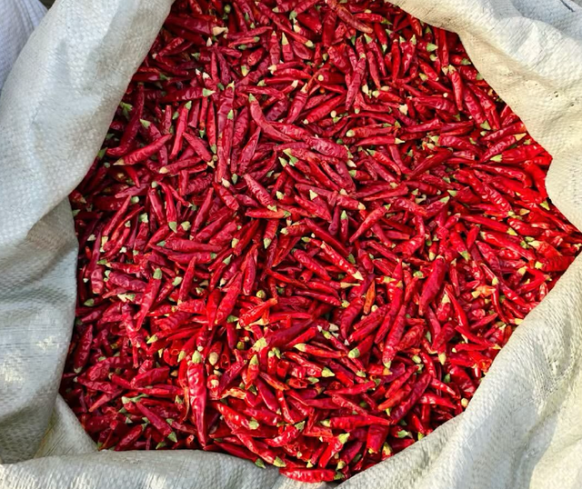 Best Quality Red Chilli Peppers –Bold Colour, Fresh Heat 20kg Reliable Quality Chilli for Global Markets - Image 3