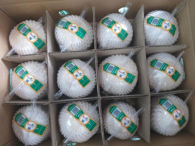 Diamond Shape Coconut Fragrant Fresh Coconuts High Grade Young Coconut- Whatsapp 0084989322607 - Image 6