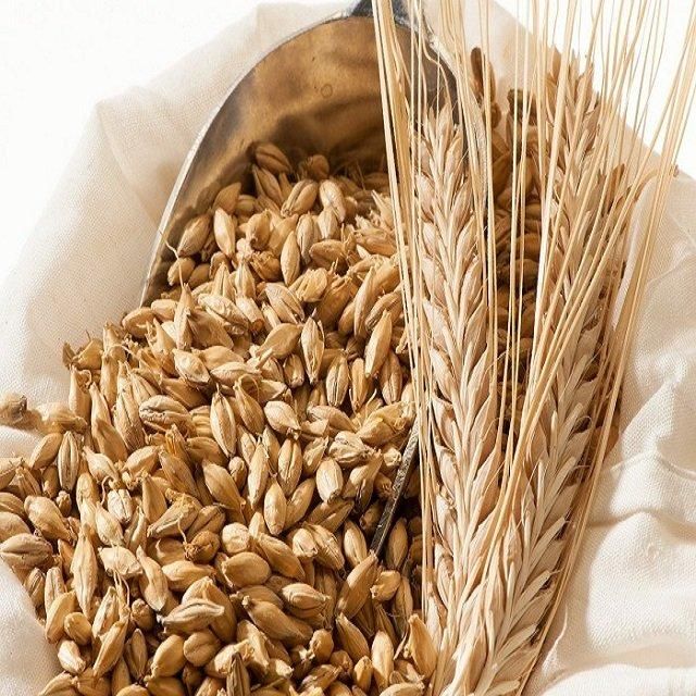 Wholesale Natural Organic First Grade Animal Feed Barley 50Kg Bag From with 2 Year Shelf Life - Image 5