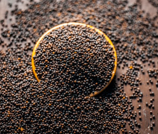 Mustard Seeds - Image 1