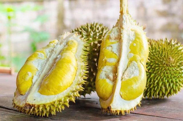 FRESH/ FROZEN DURIAN WHOLE/ PULP WITH/ WITHOUT SEED FROM VIETNAM - Image 4