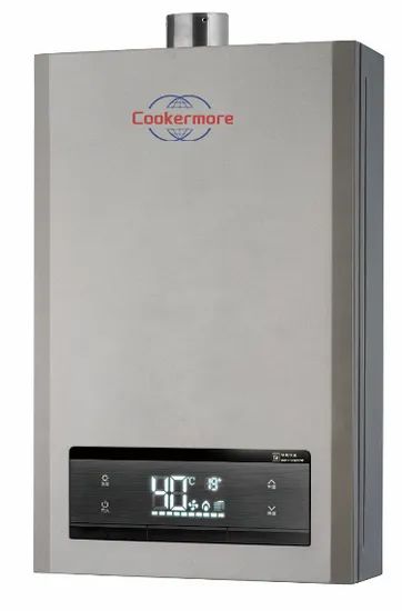 Reasonable Price Advanced Technology Forced Exhaust Gas Water Heater - Image 3