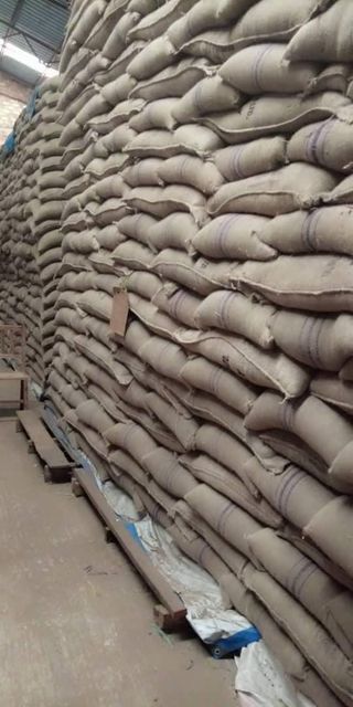High-Quality Organic Green Arabica & Robusta Coffee Beans – Garden-Grown, Roasted & Unroasted Premium Coffee Beans for Specialty Roasting, Cafés, and Commercial Coffee Production - Image 4
