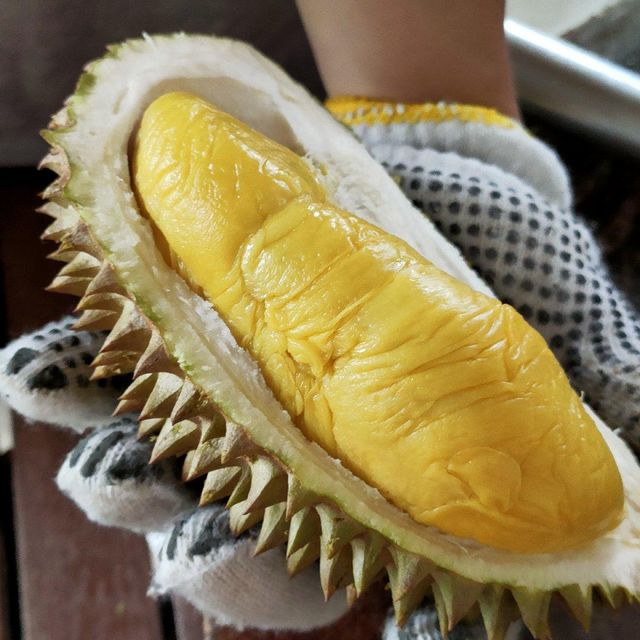 Fresh Durian Premium Mature Fruit With Distinctive Taste And Strong Consumer Preference For Wholesale Fruit Importers - Image 1