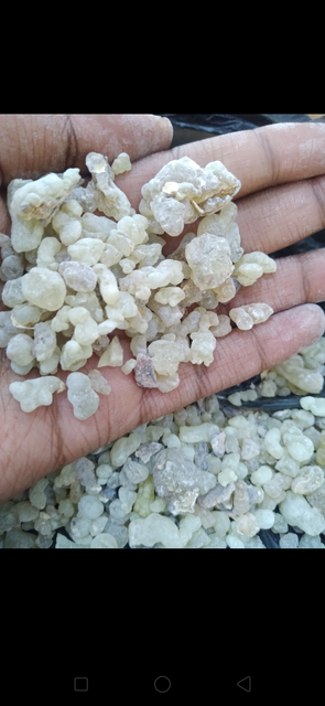 Frankincense - Image 2