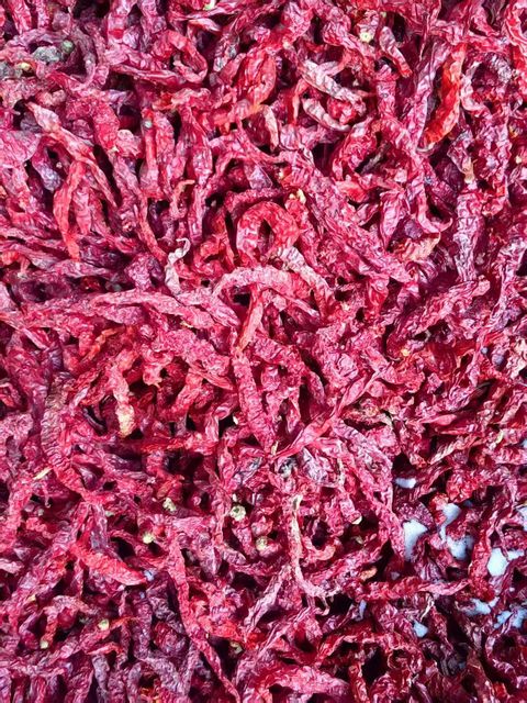 Xi an Dry Red Chili Pepper Stemless Color Red Size 10-15CM Grade A Grade Delivery Form Bag Certification HALAL Max. Moisture (%) 14% - Image 4