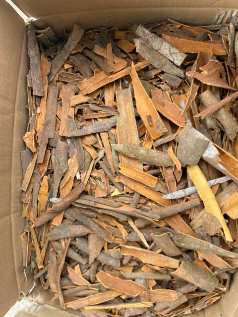 Cinnamon - Image 2