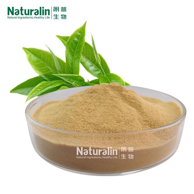 Green Tea Extract - Image 2