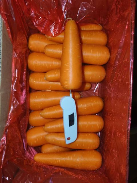 2026 Wholesale Fresh Carrot Cheap Price Exporters High Quality Vegetables New Fresh Carrots Hot Sale Product Made in China - Image 5