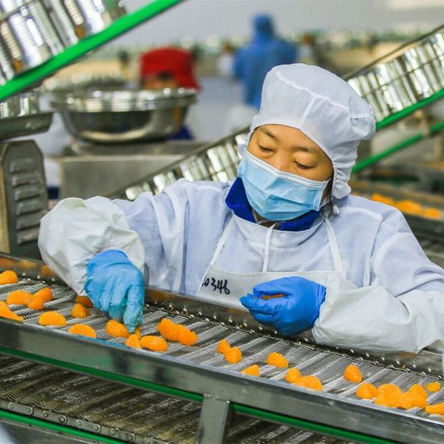 IQF Frozen mandarin orange segment Shape WHOLE Style FROZEN Weight (kg) 10 Packaging Bulk Ingredients non Type Mandarin - Image 6