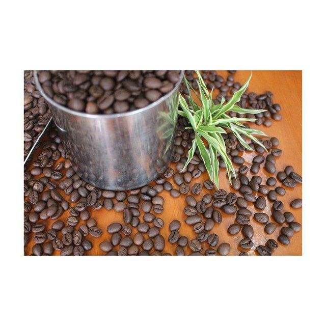 High quality robusta coffee beans prepared for wholesale buyers needing steady volume - Image 4