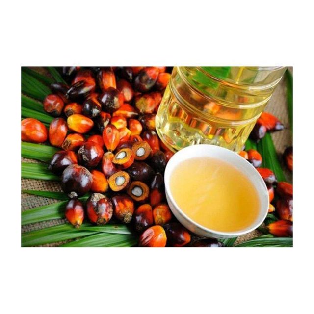 Global palm oil wholesale distributor offering premium refined palm oil for cooking frying and food production industries with private label packaging and container shipping worldwide. - Image 2