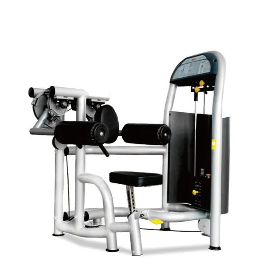 Fashion Commercial Deltoid Raise Selectorized Gym Machine Fitness Strength Equipment - Image 6