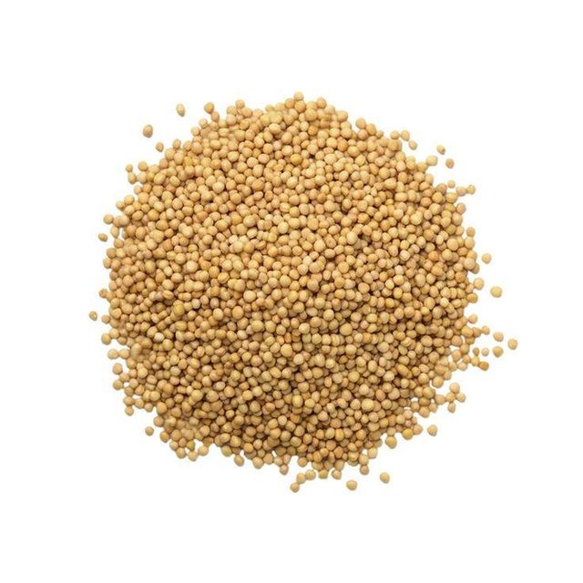 Premium Wholesale Mustard Seeds Supplier | High Purity Natural Yellow & Black Mustard Seeds for Oil Extraction, Spice Processing, Food Manufacturing, Condiment Production, and Global Bulk Export with Custom Packaging Solutions - Image 1