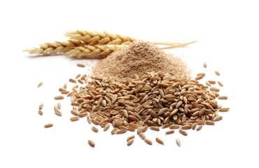 Wholesale B2B supplier Of Premium Organic Wheat Grain - Image 4