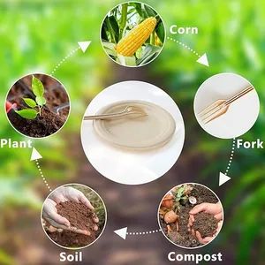 Biodegradable Disposable Cornstarch Knife Fork Spoon Disposable Tableware - Image 5