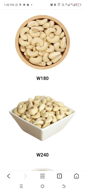 Cashew Kernel - Image 2