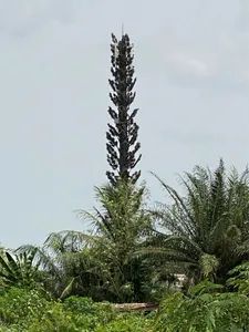 25m Camouflage Palm Tree Antenna for Cellular Networks Trademark HY Origin China Condition New Height 10-80m HS Code - Image 3
