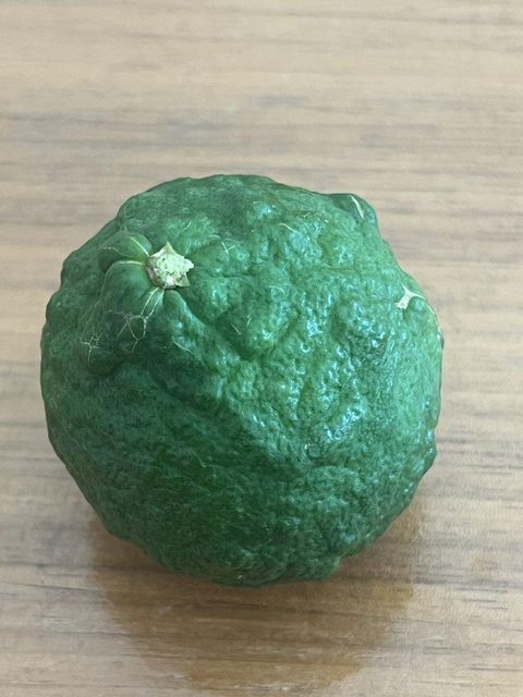 Kaffir Lime - Image 2