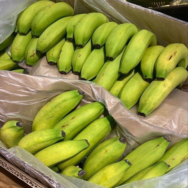 Farm Fresh Green Cavendish Banana High Quality Raw Bananas for Food Processing and Daily Consumption - Image 4