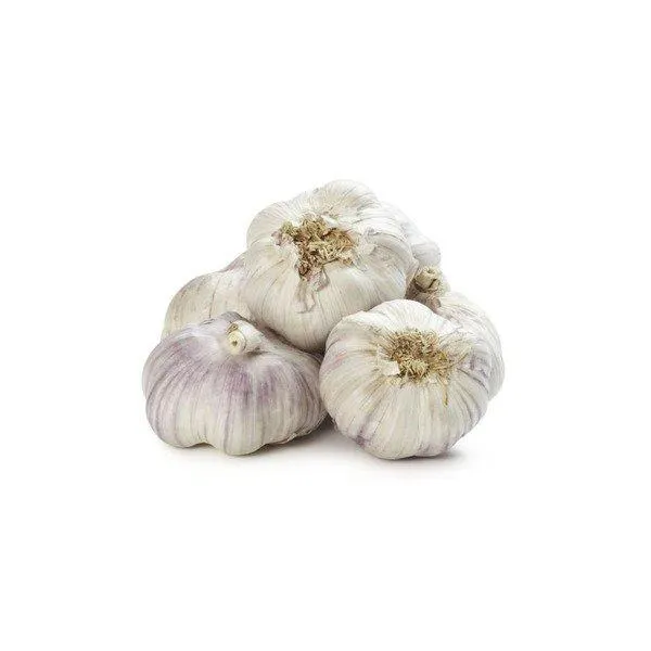 Garlic pure white garlic top grade snow white wholesale new crop fresh white garlic - Image 1