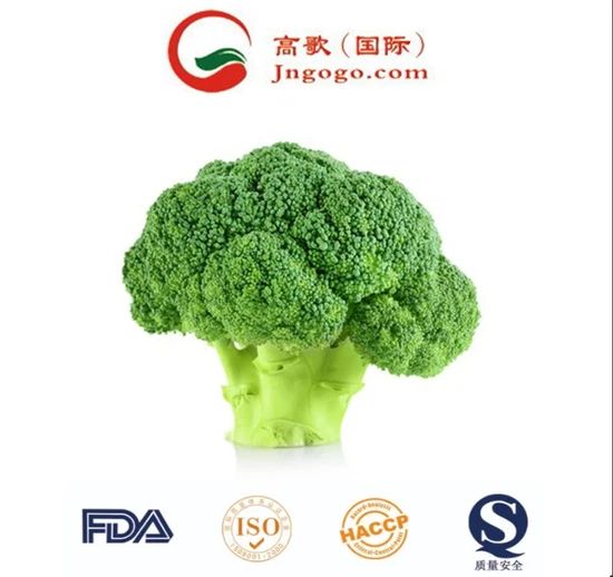 Superior Frozen Broccoli - High Quality Green Vegetable HS Code 0710809090 Production Capacity 2000 Mts Transport Package - Image 5