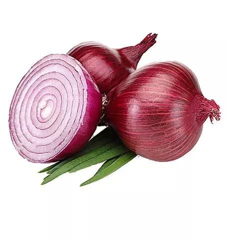 High quality Best Price Fresh Red Onion - Image 3