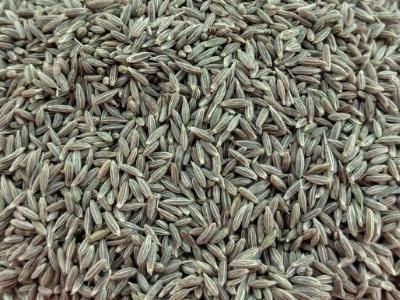 Indian Cumin Seeds Form Whole Delivery Form Bag Flavour Aroma, Spicy Place of Origin India Max. Moisture (%) 10 % Max Type Europe Quality 99.5%, Singapore Quality 99% - Image 1