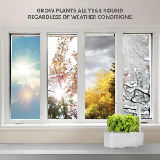 Innovative Smart Garden System for Kitchen Window Herbs - Image 5