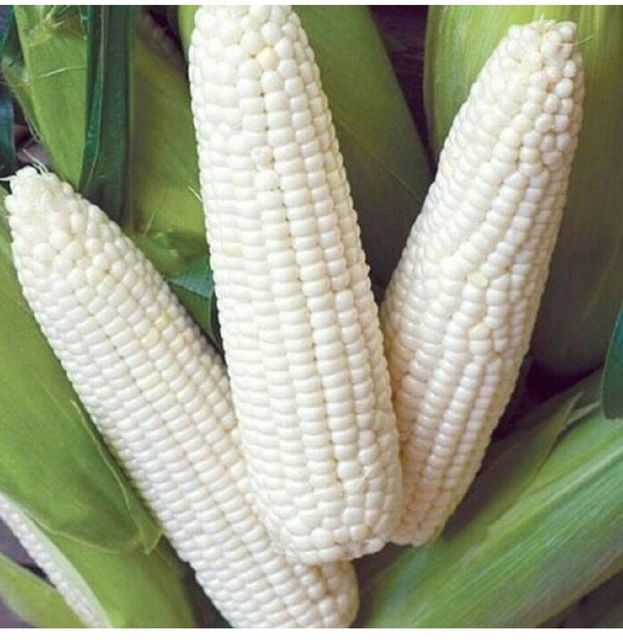 Non-GMO Best Quality Non-Glutinous White Dried Maize Corn 24 Months Shelf Life 25kg Good Price Wholesale Sale - Image 4