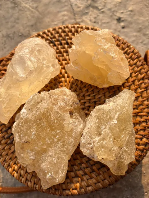 Gum Damar Indonesia - Image 3