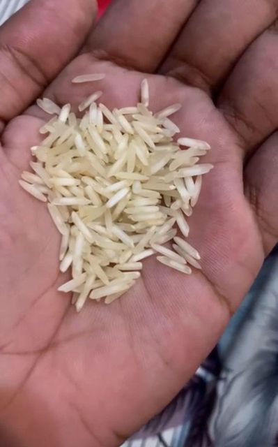 Rice, Basmati Rice, IRRI-6,IRRI-9,etc - Image 1