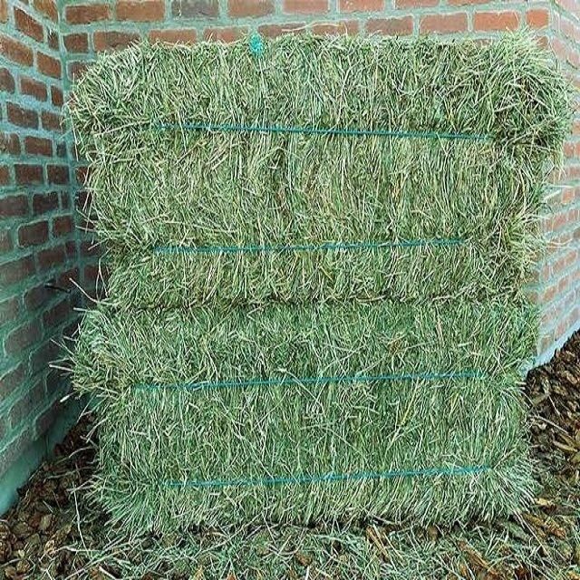Hot Selling Custom Made Timothy Hay Best Quality Grade Fast Shipping Wholesale Alfalfa Hay Bag Cheap for Horse - Image 3