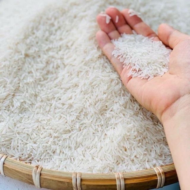 Direct from Vietnam High Quality Fresh Grade White Jasmine Rice Dried and Soft Best Price with Free Tax - Image 5
